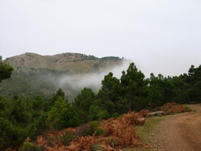 Nature walks in Andalusia