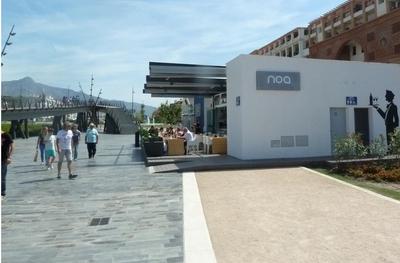 Noa by the wavy bridge