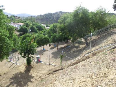 Petcare Pet Hotel Grounds