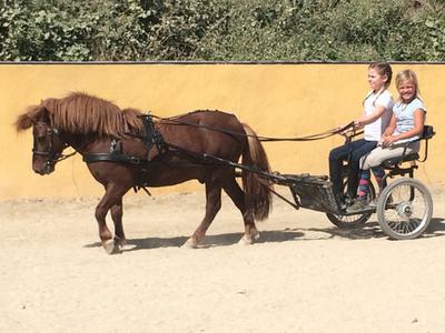 Birthday parties with ponies in Marbella