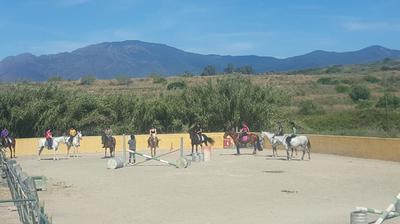 Birthday parties with ponies in Marbella
