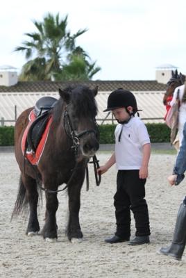 Pony Picnic at Estepona riding school