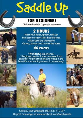 The BEST way for beginners, kids and nervous riders to enjoy riding out in this gorgeous area