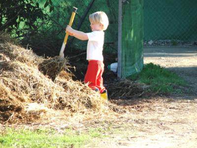 There is something about a muck heap that the young pony clubers seem to find irresistible 