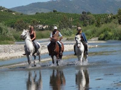 riding fun in the sun