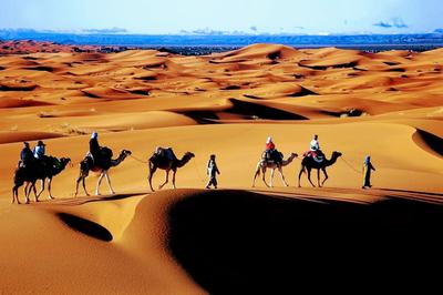 Morocco tours 