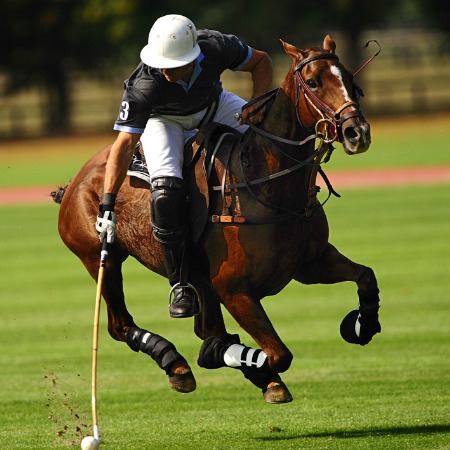 Сотогранде и Манильва