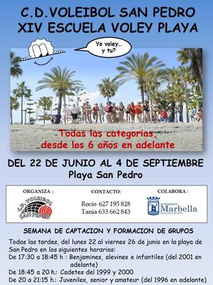 Volleyball Camp Details