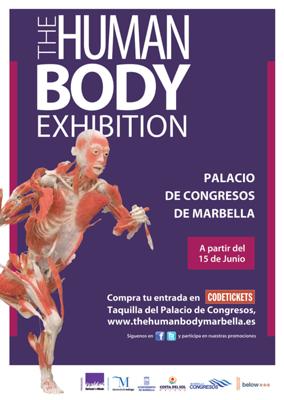 The Human Body Exhibition Marbella
