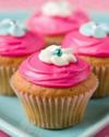 Pink Cupcakes