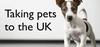 Taking pets from Spain to the UK