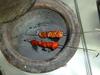 Tandoori oven