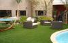Artificial Grass