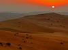 Sahara desert tours