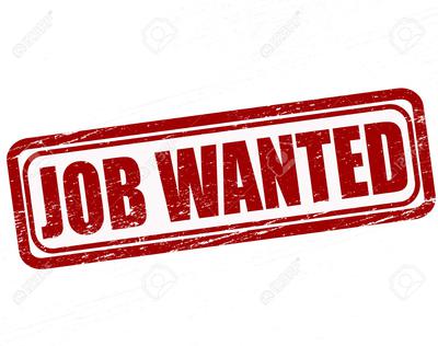 Website Design + SEO in Marbella