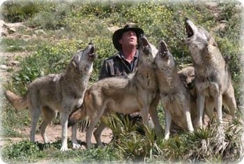 Lobo park Antequera Lobo park Antequera