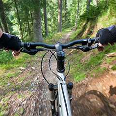 X Life Tours Marbella