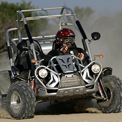 X Life Tours Marbella