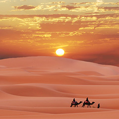 X Life Tours Marbella