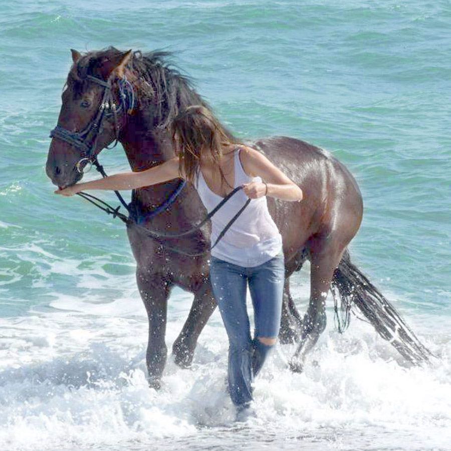 X Life Tours Marbella