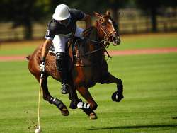 SOTOGRANDE THINGS TO DO