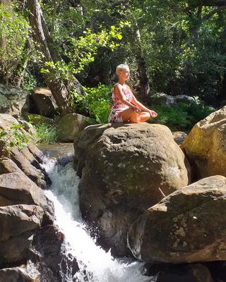 wellbeing specialist 